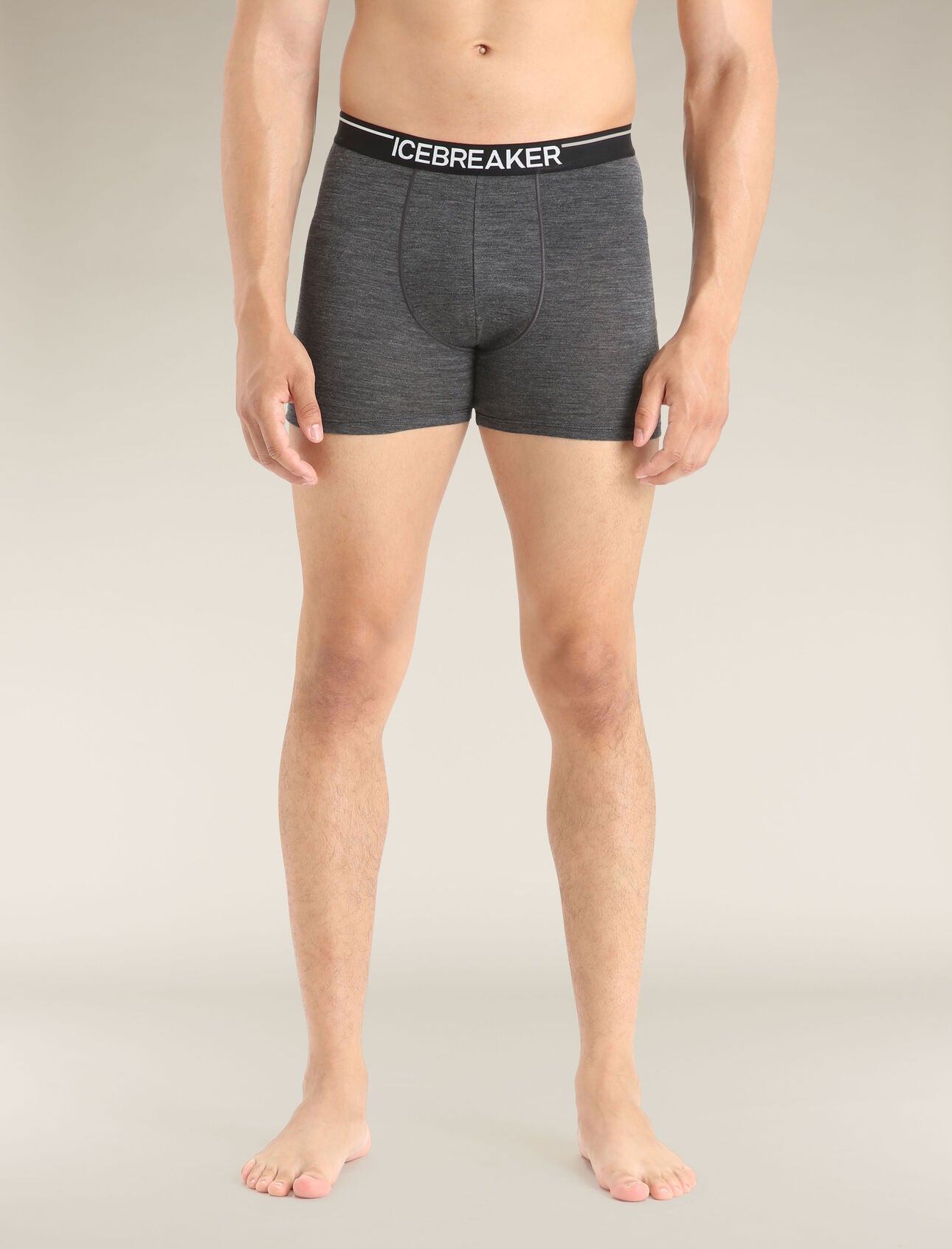 Herr Anatomica Boxers